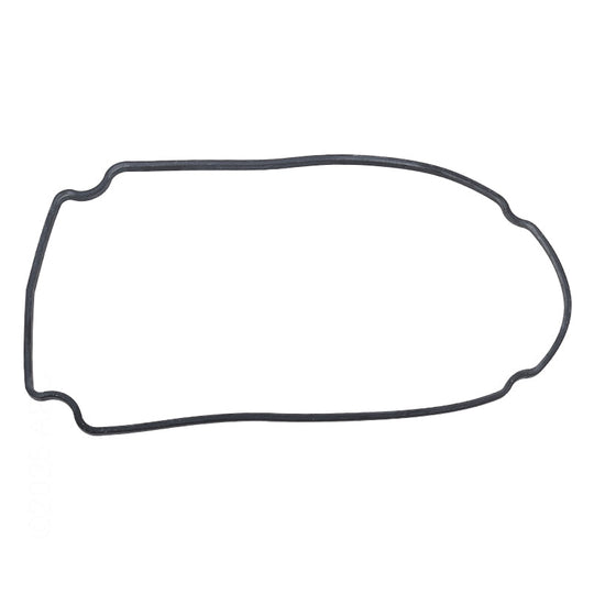 Waterway Seal Plate Gasket Champion/ Smf - 806-1400