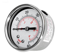 WaterWay Crystal Water Pressure Gauge, Back Mount. (830-4000SS)