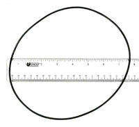 Aqua-Flo FMXP3 Housing/Volute O-ring (92200310)
