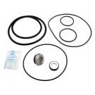 AquaFlo Dominator & C Series Seal Kit (pumps Pre-1995 (GO-KIT36) use (APCKIT36)