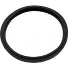 Pentair/Amerlite & SAm Lens Gasket (O-170)