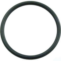 PacFab Bulkhead & Generic Union Oring, 2in (O-179)