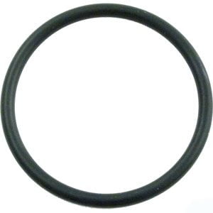 PacFab Bulkhead & Generic Union Oring, 2in (O-179)
