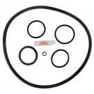 Pentair/PacFab Mytilus & Mytilus FMY Filter O-ring Kit (GO-KIT263) use (APCK1079)