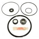 American Maxim/Americana II Pump O-ring and Seal Kit (APCKIT43)