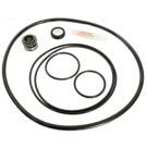 Aqua-Flo Dominator Pump O-ring & Seal Kit, After 1995 (APCKIT45)