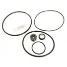 Pentair Dynamo/Dynamite Pumps O-Ring & Seal Kit (GO-KIT46) (APCKIT46)