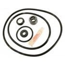 Sta-Rite Dyna-Glas/Dyna-Pro/FloTech/AquaTools Pump O-ring & Seal Kit (APCKIT44) (GO-KIT44)