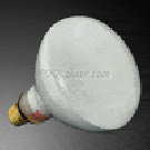R40 Pool Light Bulb, 120v, 500W Medium Base