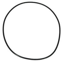 Hayward 6060 Booster Pump Seal Plate O-ring (AX6060S)
