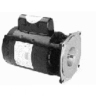 Century Motor for Arneson Vertical Booster Pump, .75 HP, 230/115v (B663)