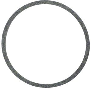 Sta-Rite CC Series Gasket (C20-77)