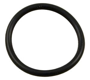 Hayward Star Clear O-Ring (CX250Z7)