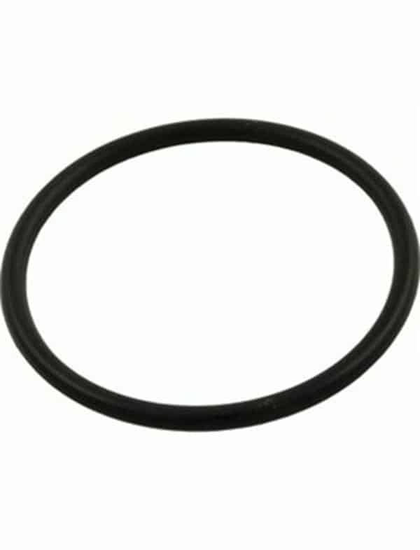 Pentair Dominator Pump Seal Plate O-Ring 92200180 - V26-354