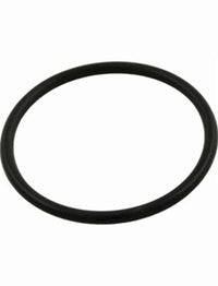 Pentair Dominator Pump Seal Plate O-Ring 92200180 - V26-354