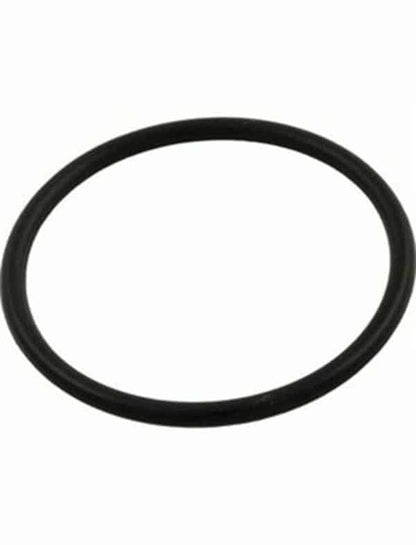 Pentair Dominator Pump Seal Plate O-Ring 92200180 - V26-354