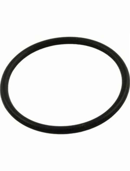 Pentair Dominator Pump Seal Plate O-Ring 92200180 - V26-354