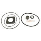 American Americana Pump, Noryl Imp, Seal Kit (GO-KIT16) use (APCK1009)