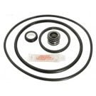 PacFab Pinnacle Pump Seal Kit (GO-KIT24) use (APCKIT24)