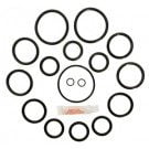Sta-Rite Bronze Push Pull 2.0 Slide Valve Seal Kit (GO-KIT27) use (APCKIT27)