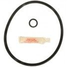 Hayward CF Chemical Feeder O-ring Kit for C250CF,C500CF,C1100CF,C1800CF (GO-KIT 56) use (APCK1053)