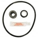 Jacuzzi J, JCM, K & KM Pump O-ring Kit (GO-KIT65) use (APCK1063)