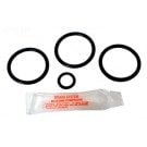 Anthony Brass Slide Valve Seal Kit 1.5 in (GO-KIT9) use (APCK1072)