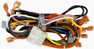 Hayward H-Series Wire Harness, Main MV (Not Shown) (HAXWHA0005)