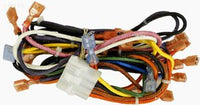 Hayward H-Series Wire Harness, Main MV (Not Shown) (HAXWHA0005)