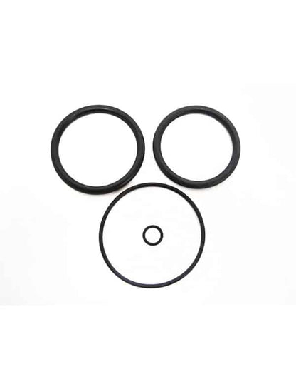 Hayward Backwash Piston O-Ring Set - V60-100