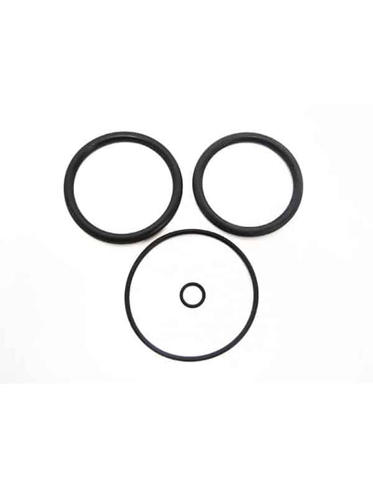Hayward Backwash Piston O-Ring Set - V60-100