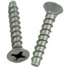 Hayward Hayward Anti-Vortex Plate Screw (Set of 2) - SP1051 & 1154 Series (SPX1030Z1A)