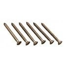 Hayward AquaBug Middle Body Screw (6 Pack) (AXV057P)