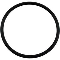 Hayward CL 100 Series O-Ring, Special Composition Viton (CLX110K)