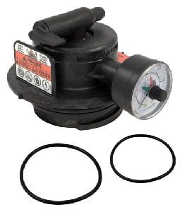 Hayward Pro-Grid Air Relief Assembly (DEX2420MAR2)