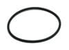 Hayward Swim Clear O-Ring (DEX360M) Overstock!