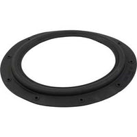 Hayward Perflex EC30/EC40 Diaphragm Gasket (ECX1039)