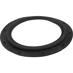 Hayward Perflex EC30/EC40 Diaphragm Gasket (ECX1039)