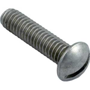 Hayward S200/S240 5/16in. x 1-1/4in. Mounting Screw (ECX1275)