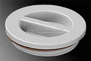 Hayward Plug w/Gasket (SP1022B)