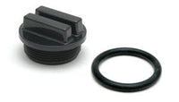 Hayward Pro-Grid 1-1/2in. Drain Plug w/O-Ring (SP1022C)