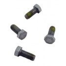 Hayward Northstar Motor Cap Screw (SPX0125Z44)