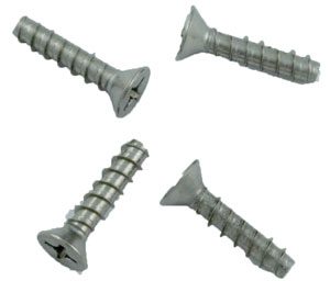 Hayward Inlet Fittings Face Plate Screw (Set)(SP1408) (SPX1039Z1A)