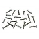Hayward SP1075 / SP1075T Face Plate Screw Set, 1-1/4 in. Long (Self-Tapping) (SPX1085Z1AM)