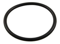 Hayward ASL O-Ring (SPX1425Z6)