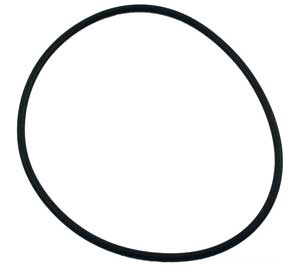 Hayward S160T O-Ring (SX200Z6)