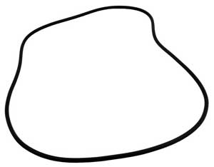 Hayward S240 Tank O-Ring (S240) (SX240Z1)