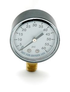 Pentair (PacFab) FNS Plus Gauge, pressure (IPG602-4L)