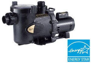 Jandy® Stealth™ Pump, 2-Speed, High Head, EE, Full-Rated, 2.0 HP, 230V (SHPF2.0-2)