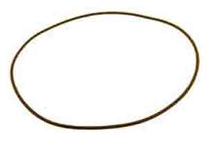 Jandy® HHP Series Pump, Volute O-ring (R0338700)